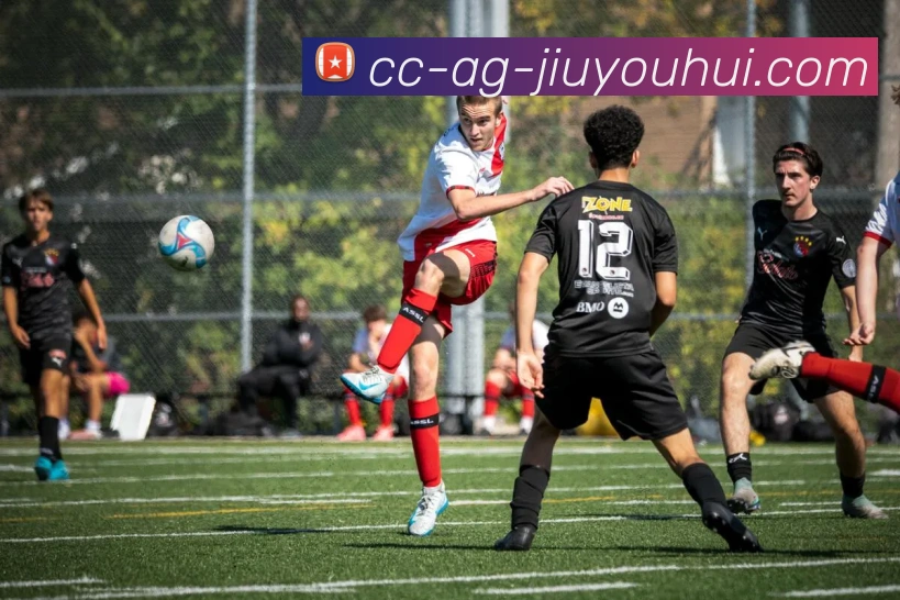 多媒体互动体验